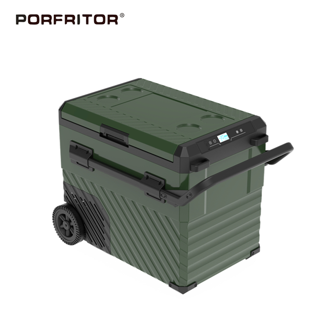 50L 12V 24V Vehicle Cooler Electric Cooler Box Portable Freezer for Camping Truck