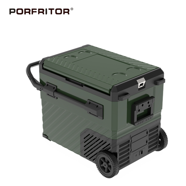 50L 12V 24V Vehicle Cooler Electric Cooler Box Portable Freezer for Camping Truck