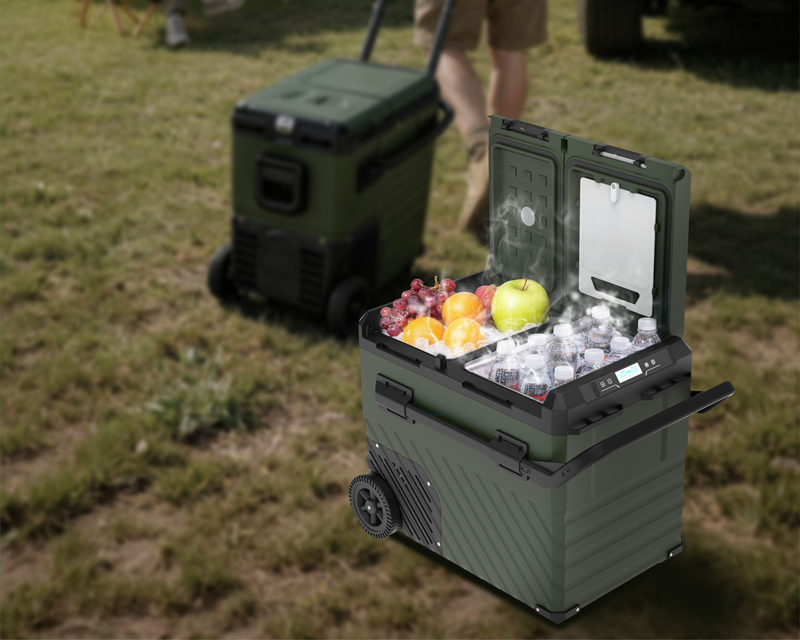 dual door car fridge.jpg
